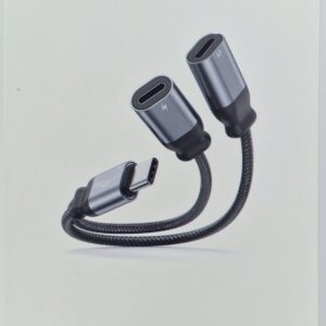 WYE USB-C to Dual Female USB-C Adapter